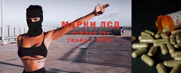прущие крисы Михайловка