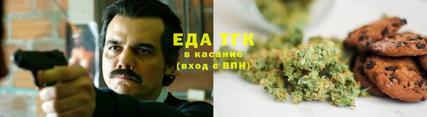 шишки Михайловск