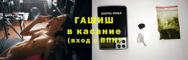 шишки Михайловск