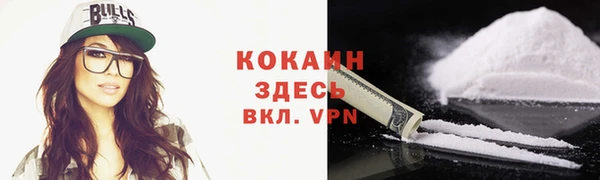 шишки Михайловск
