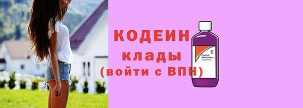 шишки Михайловск