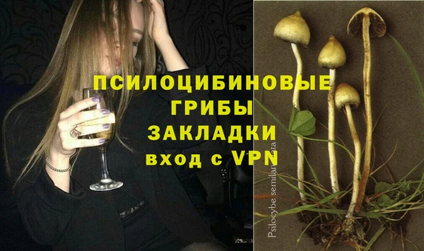 МДПВ Вязьма