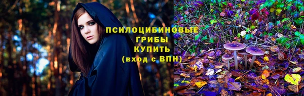 шишки Михайловск