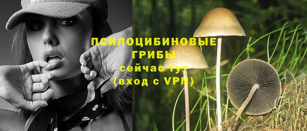 шишки Михайловск
