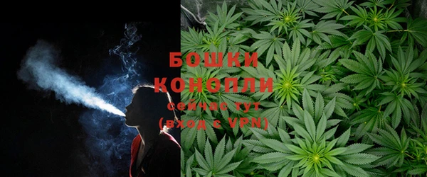 шишки Михайловск