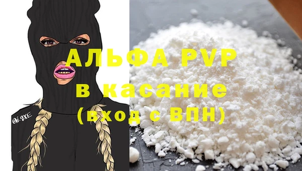 шишки Михайловск
