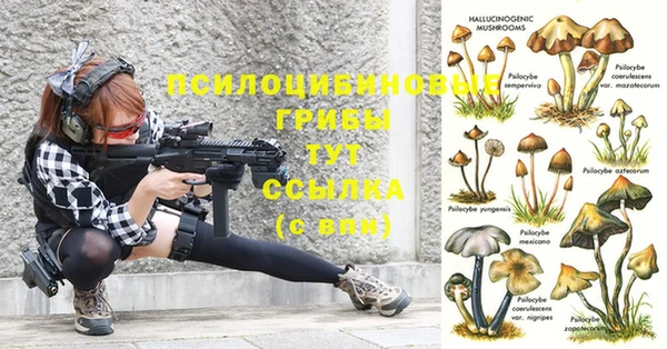 шишки Михайловск