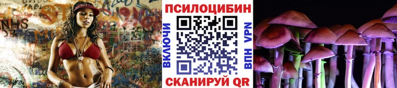 Галлюциногенные грибы Psilocybe  Баксан 