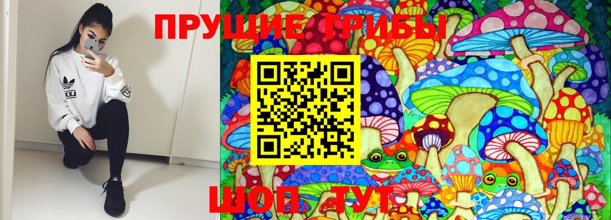 Галлюциногенные грибы Psilocybine cubensis Баксан