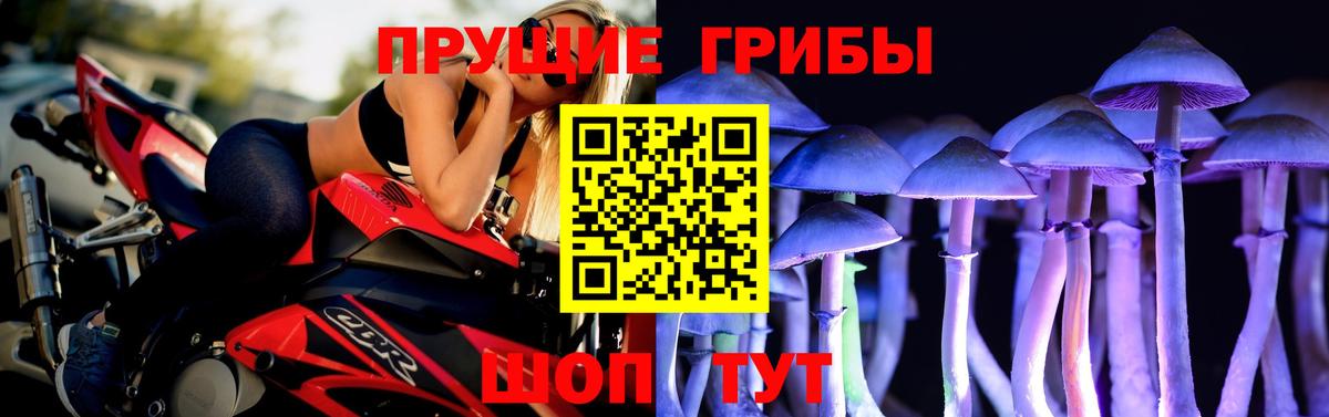 продажа наркотиков  Псилоцибиновые грибы MAGIC MUSHROOMS  Вход с VPN  Баксан 